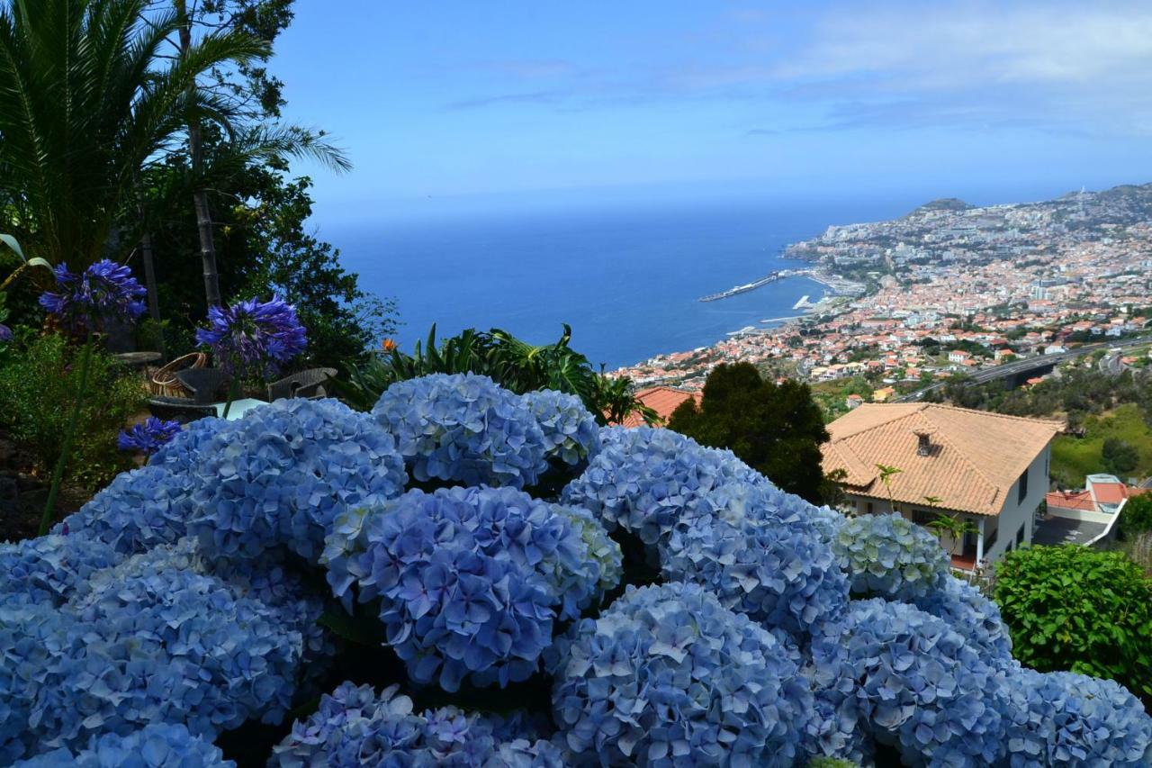 Holiday House 4 You Villa Funchal  Ngoại thất bức ảnh